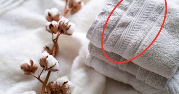 fluffy white towels with cotton branch