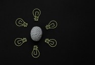 Yale Scientists Discover A Treatment That Brings The Brain Back Online After People Pass On. Researchers Think It Could Help With Alzheimer’s and Parkinson’s.