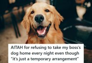 Employee Refuses To Take Boss’s Dog Home Every Night, But Then She Gets Blamed For “Not Being A Team Player” And Fears It Could Cost Her Job