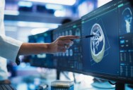 It Turns Out That Animals Do Actually Get Cancer, Including Sharks And Elephants