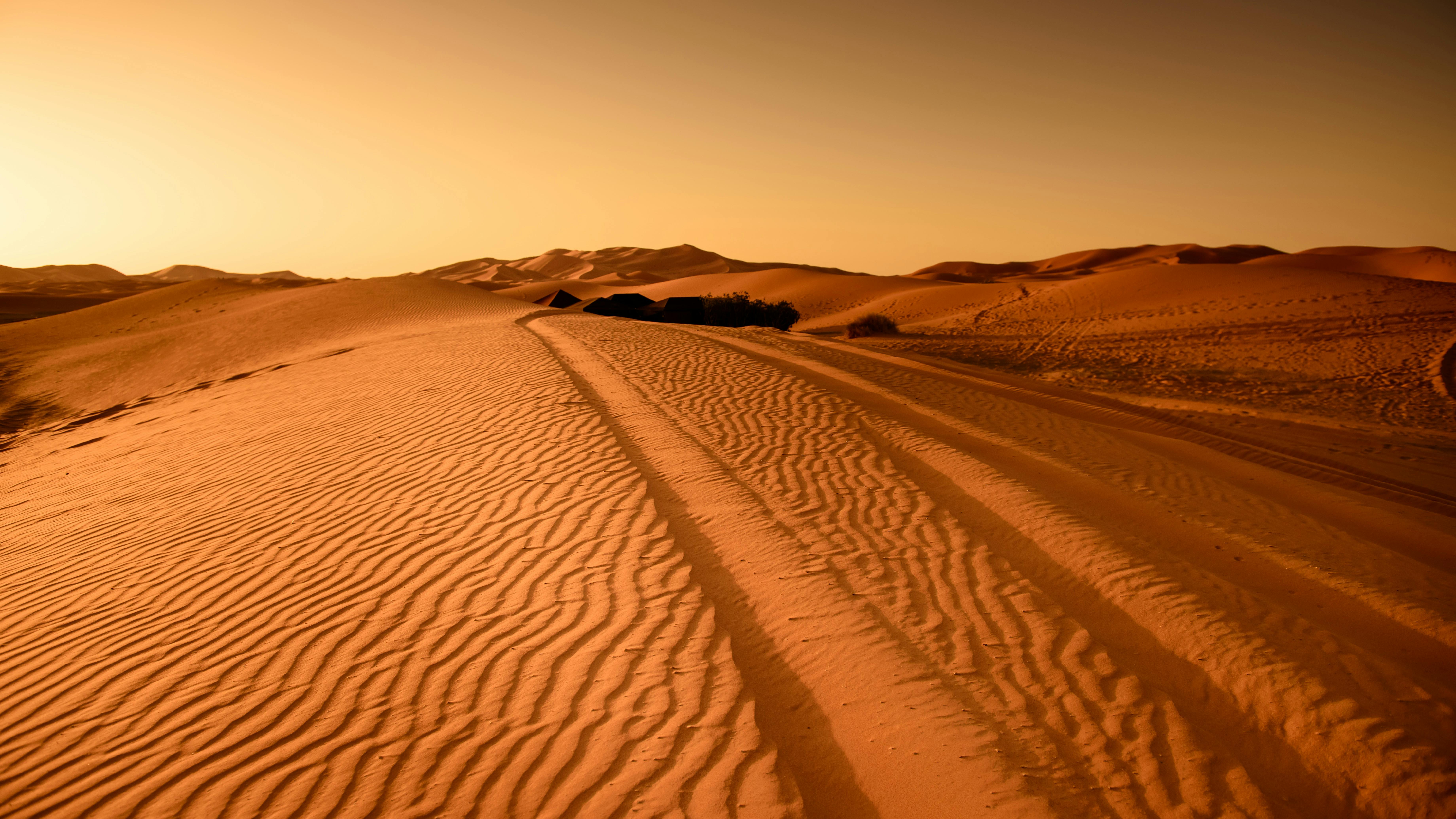 A golden sandy desert