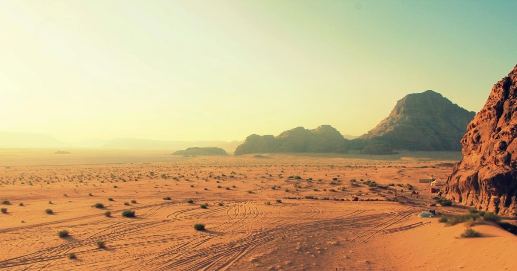 A red desert with tumbleweed