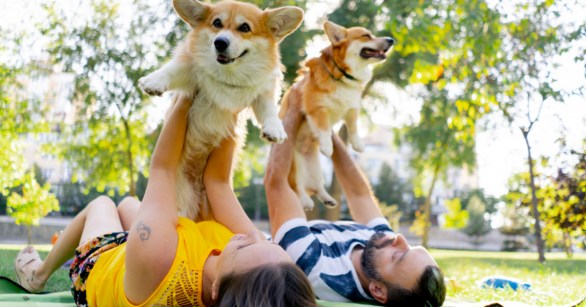 couple holding corgis up like children