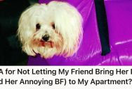 Her New Apartment Has A Strict No Pets Rule, But Her Friend And Her Boyfriend Keep Pressuring Her To Break It