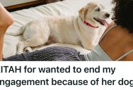 His Fiancée Won’t Make Her Dog Leave The Bed, And He’s So Disgusted That He Wants To End Their Engagement