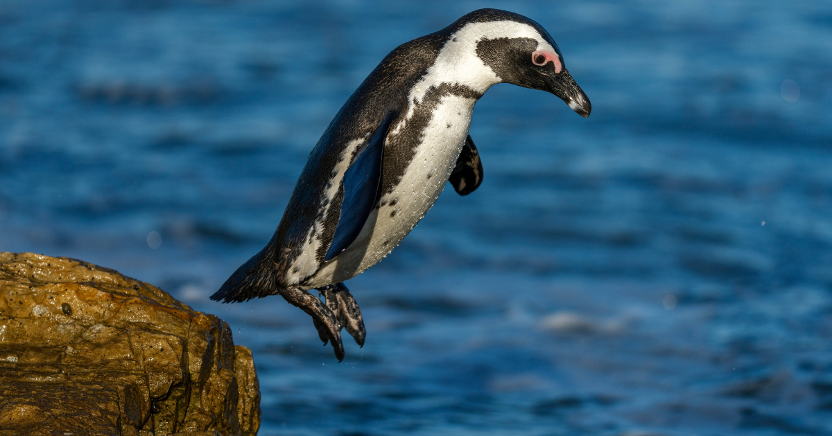 Source: Shutterstock