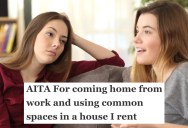 One Renter Expected Total Silence During Work Hours, But Her Roommate Was Sick Of Having To Tiptoe Around Their Own Home