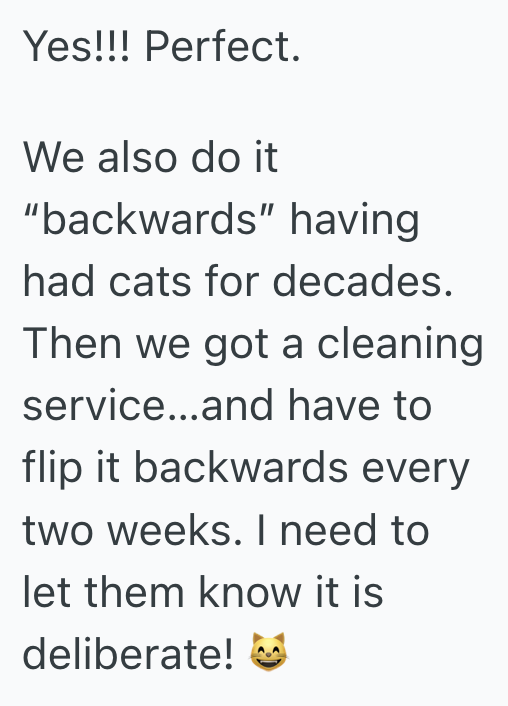 Screenshot 2025 03 05 at 4.41.47 PM Toilet Paper Roll Became A Point Of Disagreement Between One Couple, But Their Mischievous Cat Settled The Debate Once And For All