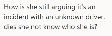 Screenshot 2025 03 06 211046 His Friend Bumped Into His Car And Agreed It Was Her Fault, But When He Was Filling Out The Forms For The Insurance Company, His Friend Claimed It Wasnt Her Fault At All