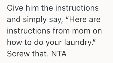 Screenshot 2025 03 10 at 7.58.11 PM Womans Mother Expects Her To Do Her Older Brothers Laundry For Him, But She Thinks He Should Do His Own Laundry