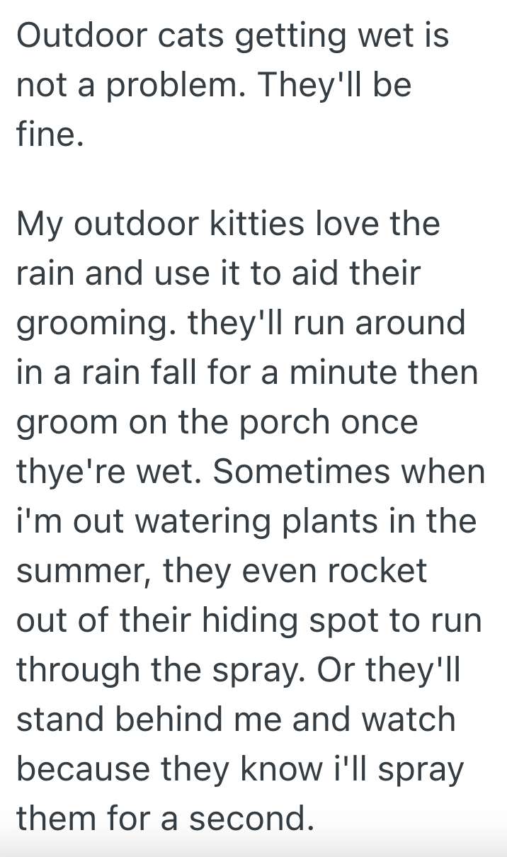 Screenshot 2025 03 11 at 10.28.35%E2%80%AFAM Woman Doesnt Want Her Neighbors Cats In Her Garden, But They Werent Happy With Her Solution Of Installing A Motion Activated Sprinkler System