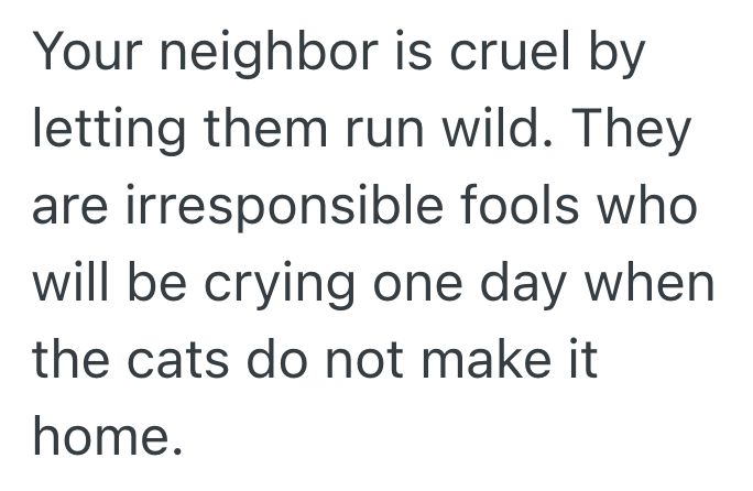 Screenshot 2025 03 11 at 10.29.12%E2%80%AFAM Woman Doesnt Want Her Neighbors Cats In Her Garden, But They Werent Happy With Her Solution Of Installing A Motion Activated Sprinkler System