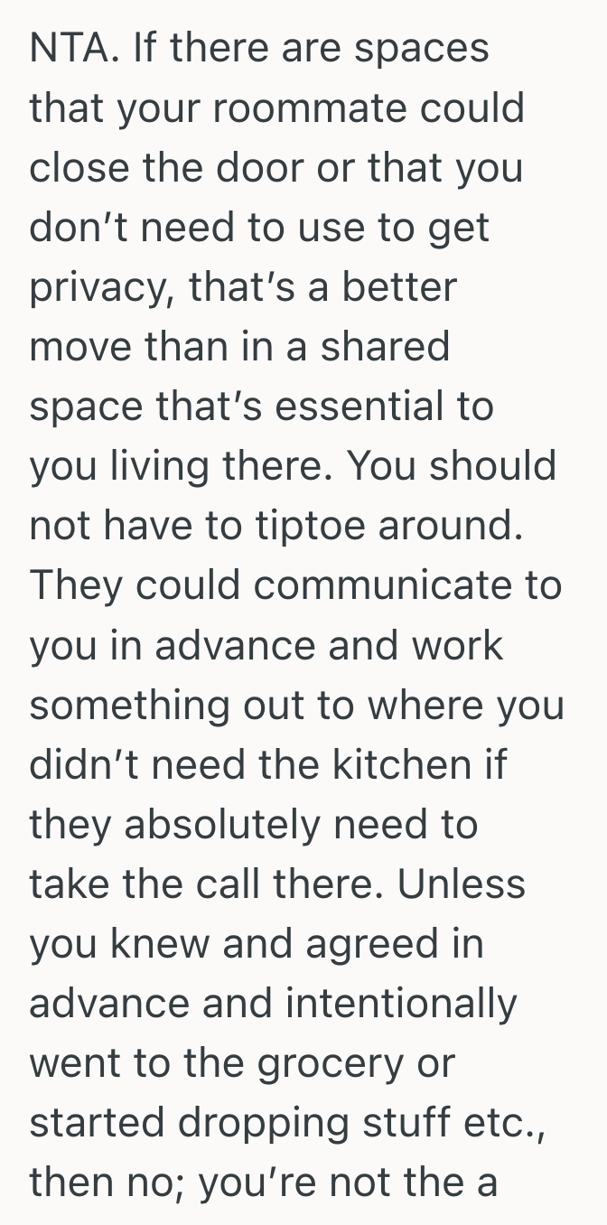 Screenshot 2025 03 16 at 3.27.48 PM One Renter Expected Total Silence During Work Hours, But Her Roommate Was Sick Of Having To Tiptoe Around Their Own Home