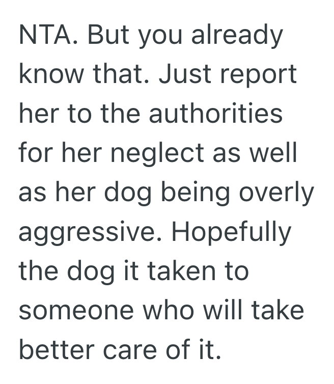 Screenshot 2025 03 19 at 8.39.24 PM Husky Was Allowed To Roam Free Without Rules, But Its Negligent Owner Blamed Everyone Else When Disaster Struck