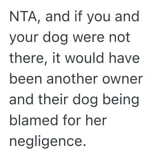 Screenshot 2025 03 19 at 8.40.02 PM Husky Was Allowed To Roam Free Without Rules, But Its Negligent Owner Blamed Everyone Else When Disaster Struck