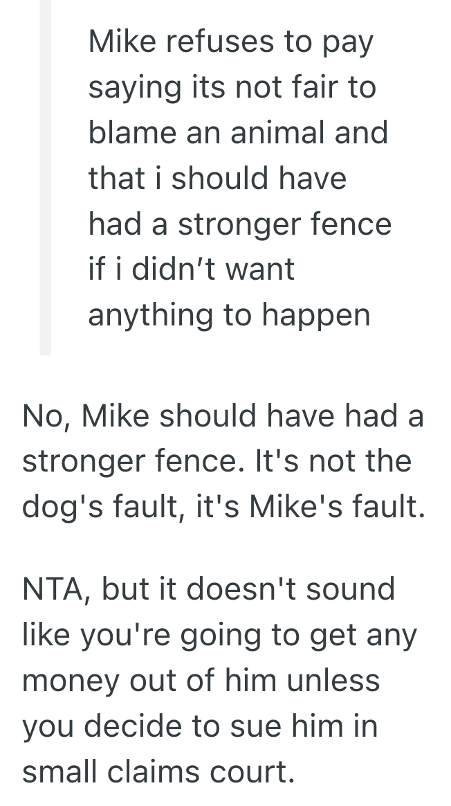 Screenshot 2025 03 24 at 11.20.53 AM Owners Unleashed Dog Destroyed One Homeowners Backyard Garden, But When He Asked For Reimbursement, The Owner Refused To Take Responsibility