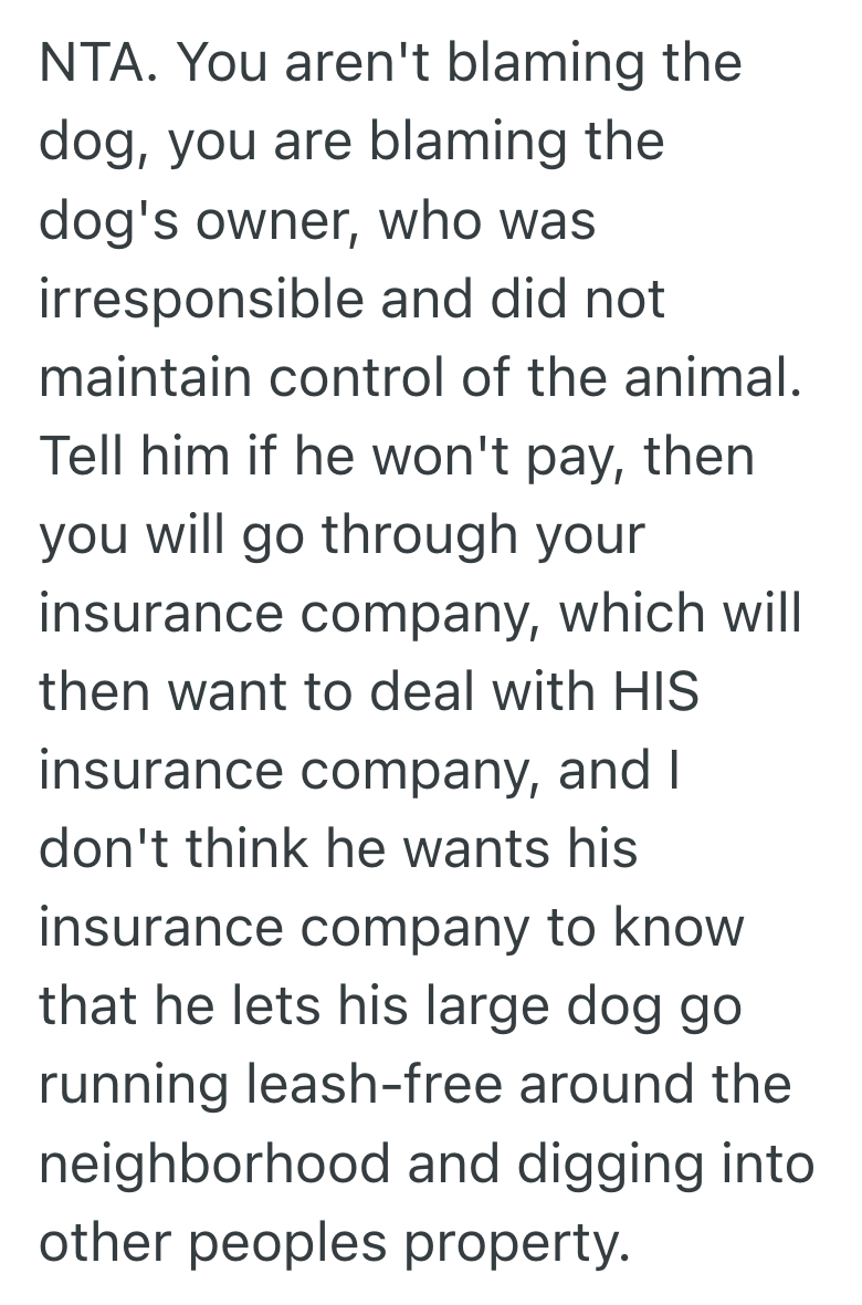 Screenshot 2025 03 24 at 11.21.37 AM 1 Owners Unleashed Dog Destroyed One Homeowners Backyard Garden, But When He Asked For Reimbursement, The Owner Refused To Take Responsibility