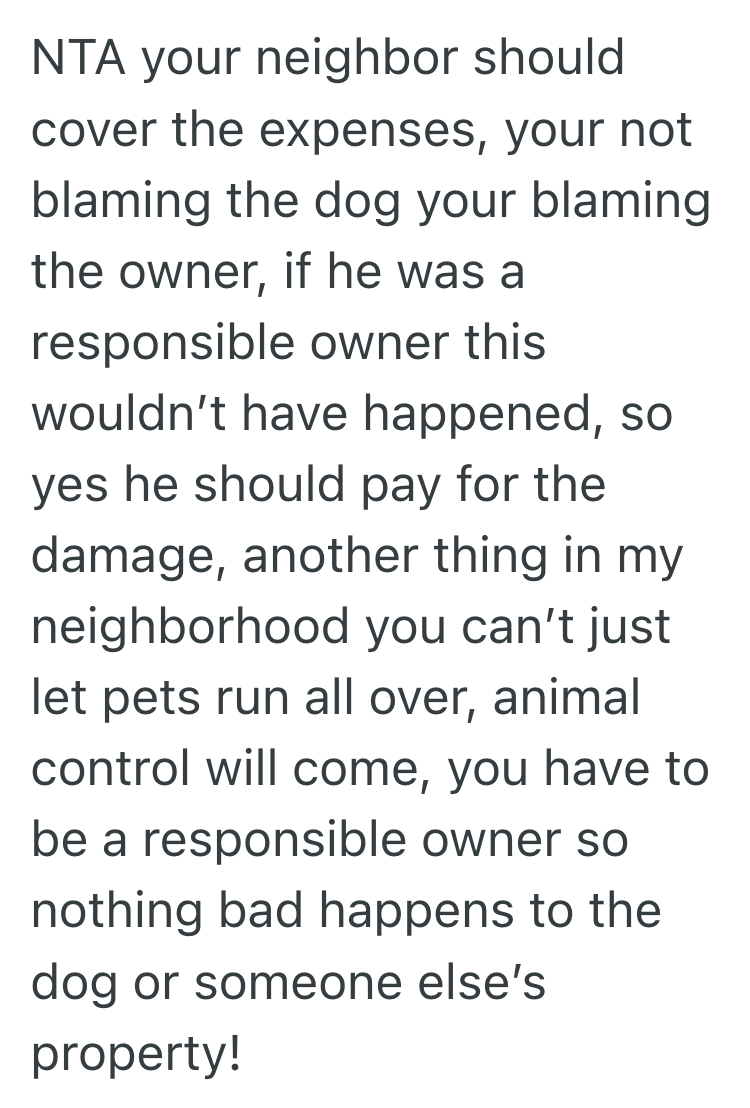 Screenshot 2025 03 24 at 11.22.31 AM Owners Unleashed Dog Destroyed One Homeowners Backyard Garden, But When He Asked For Reimbursement, The Owner Refused To Take Responsibility