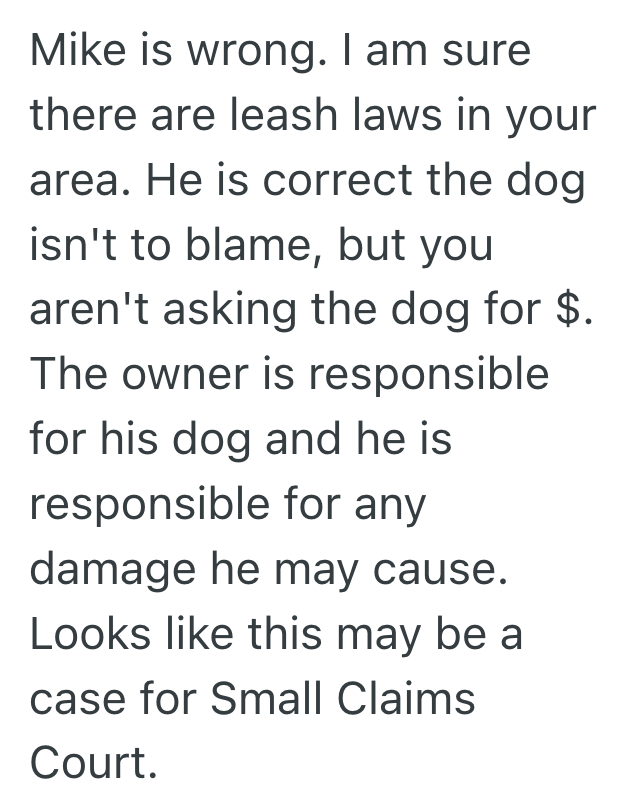 Screenshot 2025 03 24 at 11.23.24 AM Owners Unleashed Dog Destroyed One Homeowners Backyard Garden, But When He Asked For Reimbursement, The Owner Refused To Take Responsibility