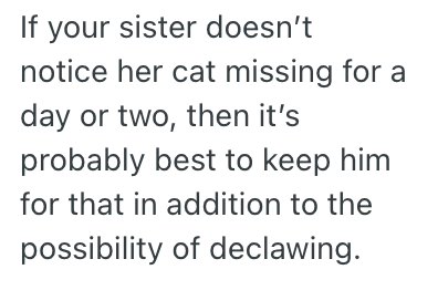 Screenshot 2025 03 25 at 11.17.08 PM Man Overheard His Sister Planning To Get Her Cat Declawed, So He Impulsively Took The Cat Home With Him Without Letting Her Know