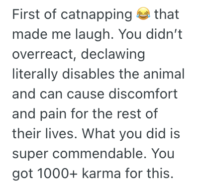 Screenshot 2025 03 25 at 11.17.47 PM Man Overheard His Sister Planning To Get Her Cat Declawed, So He Impulsively Took The Cat Home With Him Without Letting Her Know