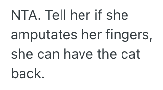Screenshot 2025 03 25 at 11.18.30 PM Man Overheard His Sister Planning To Get Her Cat Declawed, So He Impulsively Took The Cat Home With Him Without Letting Her Know