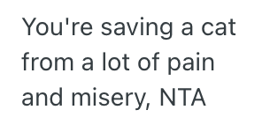 Screenshot 2025 03 25 at 11.19.36 PM Man Overheard His Sister Planning To Get Her Cat Declawed, So He Impulsively Took The Cat Home With Him Without Letting Her Know