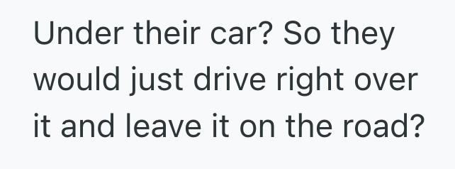 Screenshot 2025 03 28 at 6.42.29 PM Homeowner Saw Someone Throw Their Pizza Box Out Of A Car, So He Decided To Find Their Parked Car And Return The Trash In An Inconvenient Spot