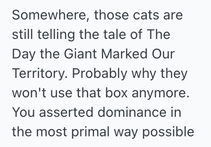Screenshot 2025 03 29 at 10.49.38 PM Woman Suffers From Bladder Problem Yet Her Partner Would Purposely Deny Her The Bathroom, So She Got Revenge Via The Cats Litter Box