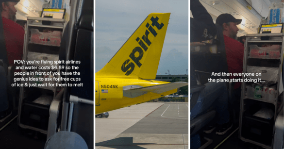 Source: Shutterstock, TikTok/@bookthevacation