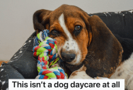 Dog Owner Mistakes An Office For A Doggy Daycare And Drops Off Her Pup, But It Works Out Perfectly Because The Office Allows Employees To Bring Their Pets To Work