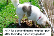 Owner’s Unleashed Dog Destroyed One Homeowner’s Backyard Garden, But When He Asked For Reimbursement, The Owner Refused To Take Responsibility