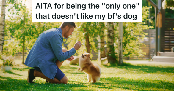 man with pomeranian dog in green grass