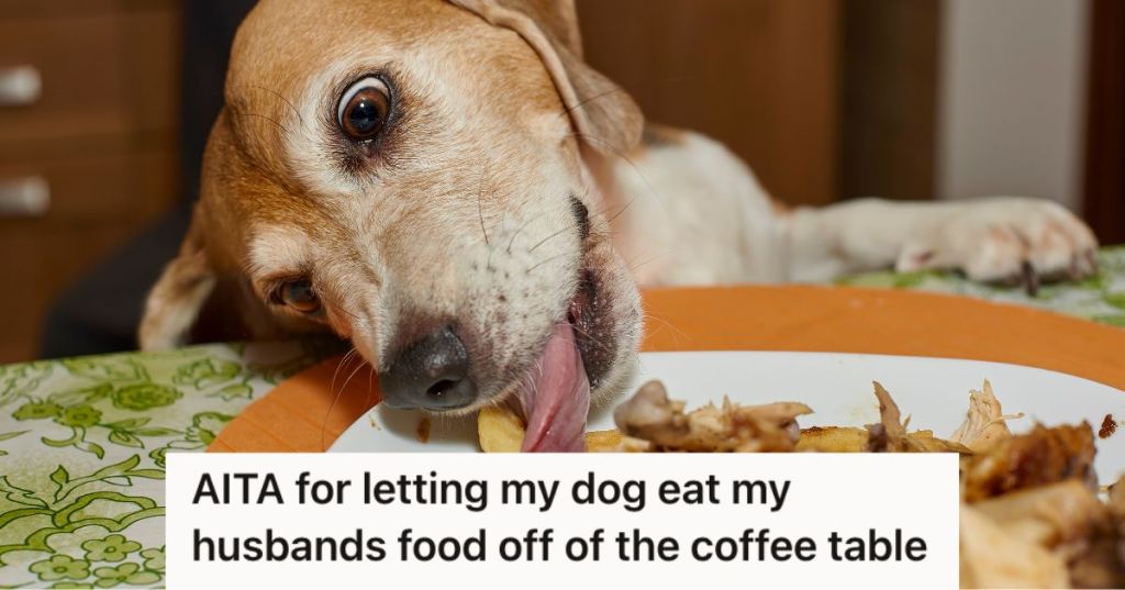 dog licking and eating food from the table