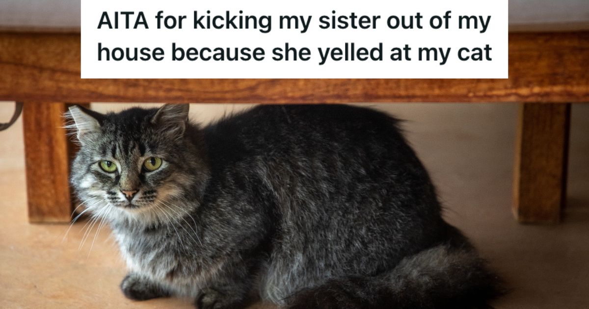 His Sister Yelled At His Shy Cat And Shoved The Cat Out Of The Way, So He Threw Her Out Of His House Black cat hiding under the bed