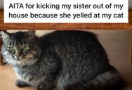 His Sister Yelled At His Shy Cat And Shoved The Cat Out Of The Way, So He Threw Her Out Of His House