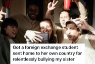 Her Younger Sister Was Being Bullied By A Girl In High School, So This Young Lady Came Up With A Plan To Bring Her Down