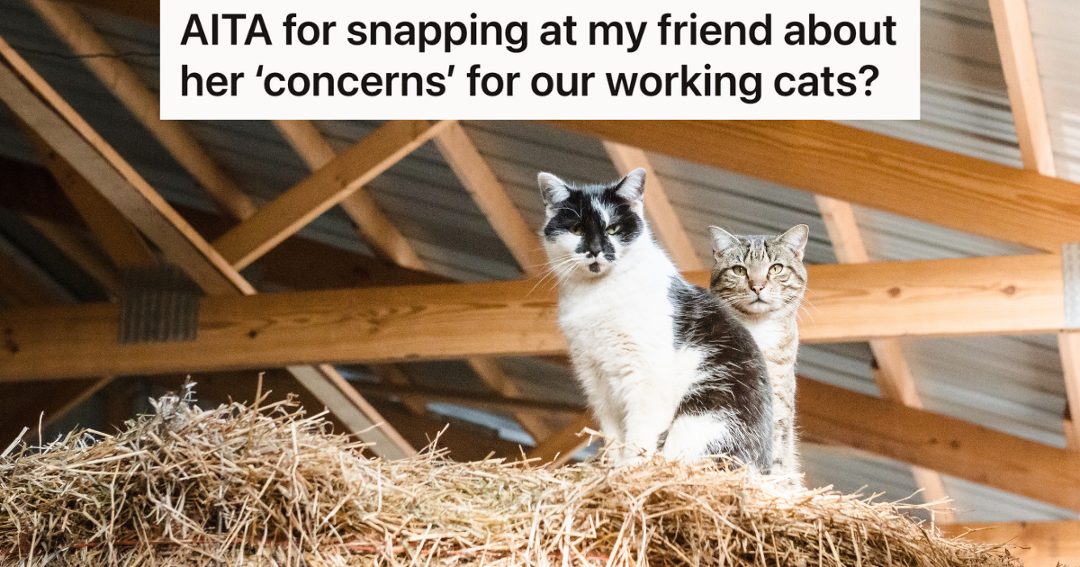 Woman’s Friend Was Excited To See The Farm Animals, But She Got Upset When She Found Out The Cats Aren’t Treated Like Pets