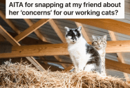 Woman’s Friend Was Excited To See The Farm Animals, But She Got Upset When She Found Out The Cats Aren’t Treated Like Pets