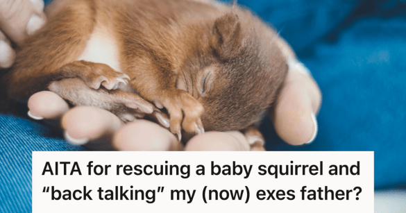 baby squirrel sleeping in a person's hands