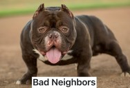College Student Tried To Wait Out Their Neighbor’s Bad Conduct, But When The Dog Let His Guard Down They Made Their Move