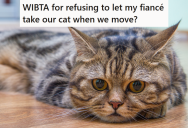 Couple Is Moving Out Of Their Apartment And Into Separate Houses, But The Boyfriend Wants To Take One Of Their Cats With Him Even Though The Girlfriend Thinks His New Place Is Unfit For Keeping A Cat