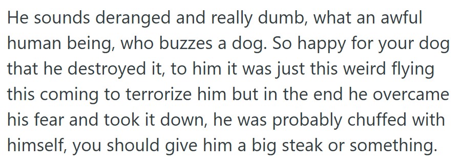 comment 3 35 When His Dog Destroyed A Neighbors Drone, The Drone Owner Tried To Sue Him. So He Counter Sued And Won Big Time.