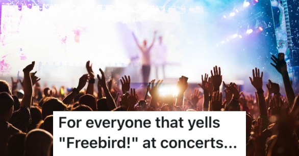 crowd at a concert