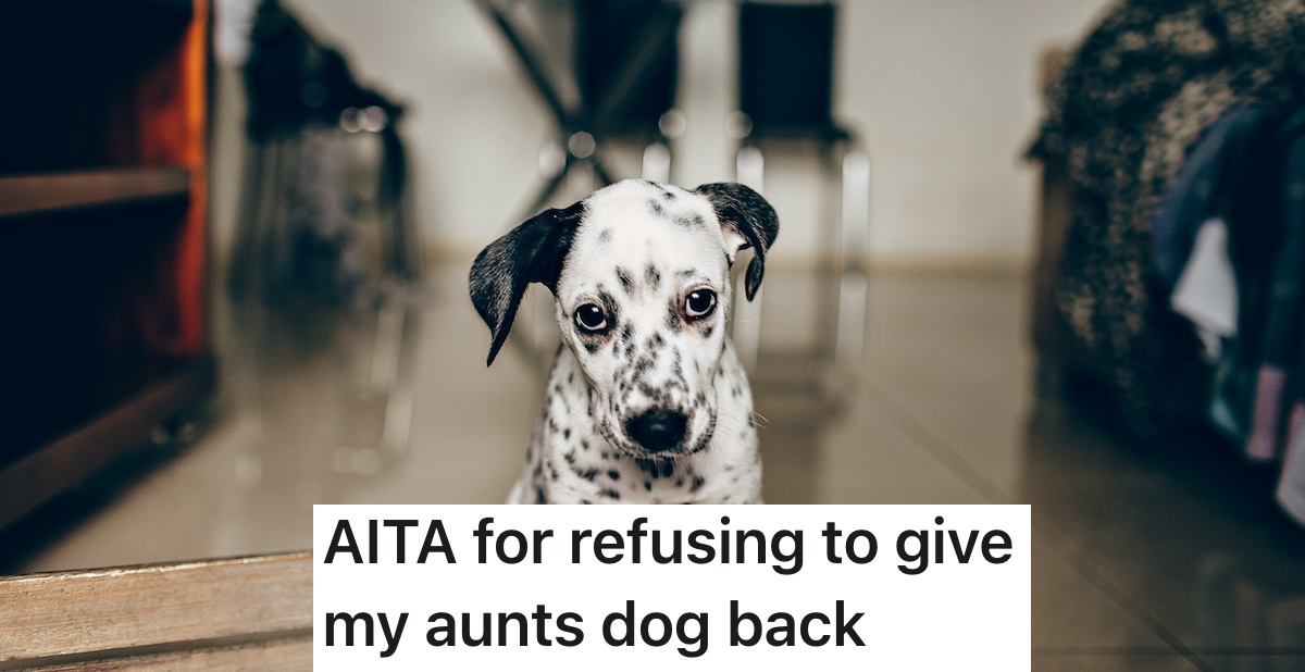 dalmation puppy looking at camera