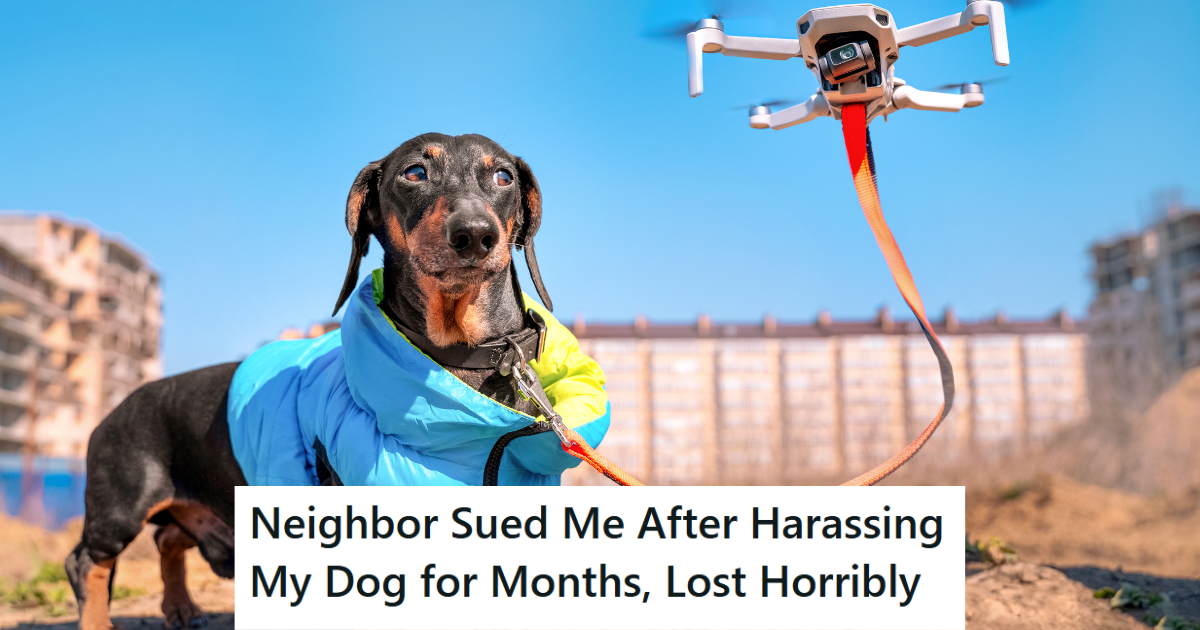 drone hooked to a dog's leash