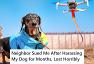 When His Dog Destroyed A Neighbor’s Drone, The Drone Owner Tried To Sue Him. So He Counter-Sued And Won Big Time.