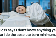 Micromanager Wanted Employee To Stick To Their Job Description, But They Completely Gave Up And Let All Their Training Go To Waste