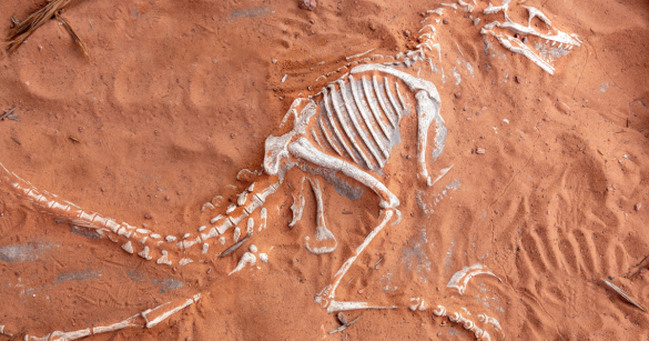 Source: Shutterstock