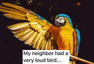 A Loud Bird Moved In Next Door, But This Neighbor Got The Owner’s Attention By Parroting The Problem Right Back